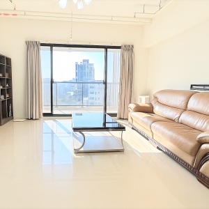 星鑽府前院百坪雙車豪邸