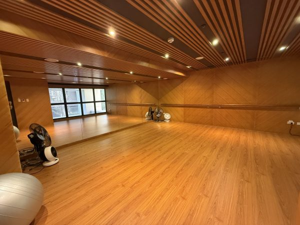 新悅城凱旋區輕屋齡3房平車：圖片 3