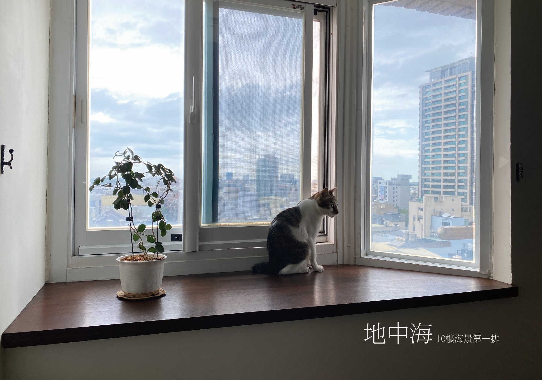 光雨風交織。安平地中海四房平車:圖片 2