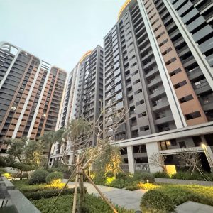 達麗世界仁三房平車