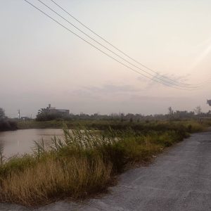 台江大道隔渠臨6米路農地+魚塭